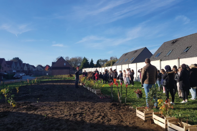 Vilogia et BeeForest plantent 900 arbres à Villeneuve d'Ascq