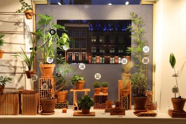 Exposition de plantes - Station V