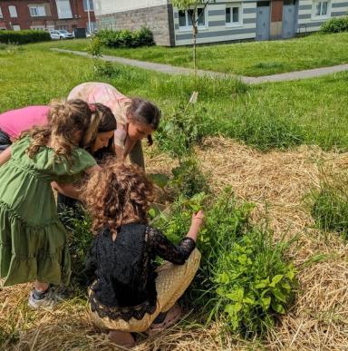 Un verger aromatique conçu avec les habitants à Wattrelos en partenariat avec l’entreprise Bloem.