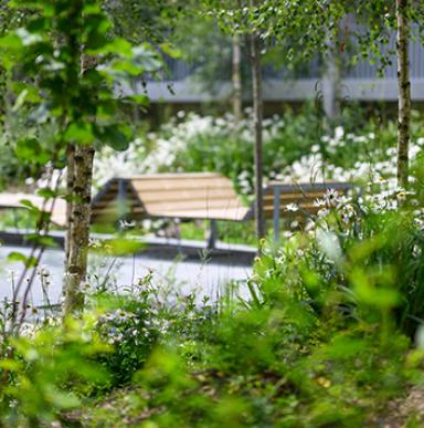 Dans le cœur d’îlot de la résidence Harmony dans le nouveau quartier Brazza à Bordeaux, 900 m² de massifs plantés et 45 arbres apportent de la fraîcheur aux habitants. 